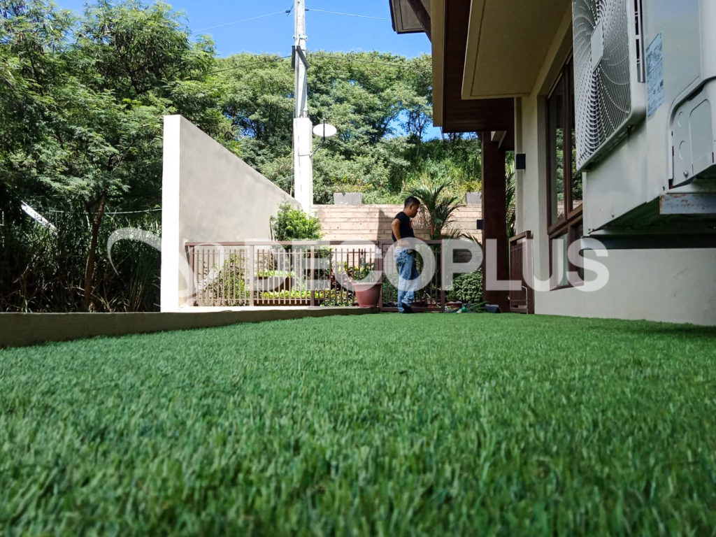 Artificial Grass Philippines Decoturf Angono Forest Farm 10mm October 25 2019