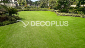 Las-Pinas-City-Window-Grass-turf-Philippines-Decoturf-Decoplus-