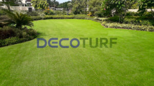 Las-Pinas-City-Artificial-Grass-Turf-Philippines-Decoturf-Decoplus-